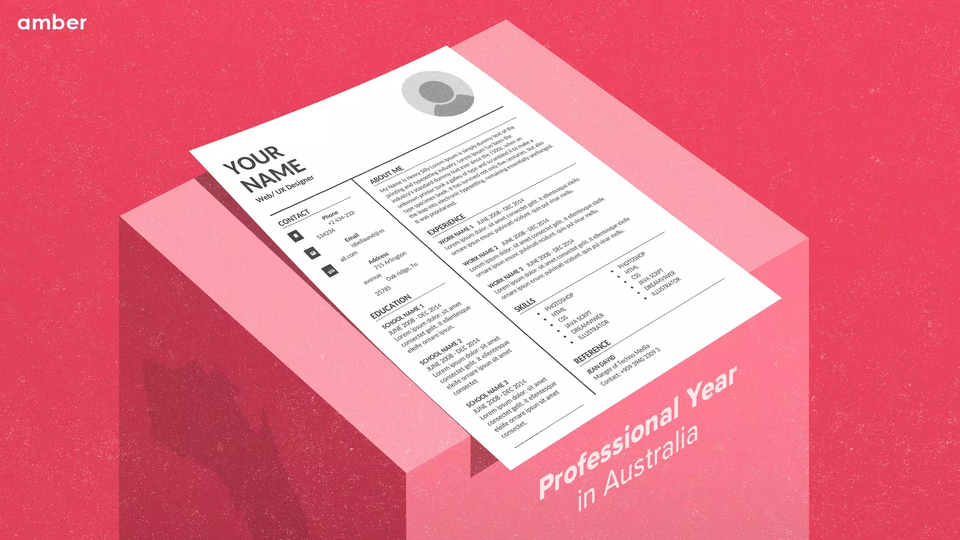 Guide to Australian Professional Year Program 2024 Amber
